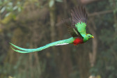 Costa Rica II