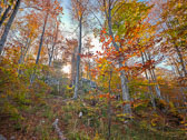 Autumn in Croatia
