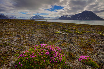 Svalbard - Spitzbergen