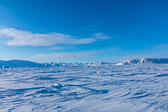 Winter in Svalbard