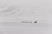 Winter in Svalbard