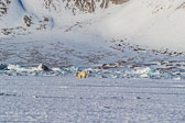 Winter in Svalbard