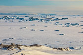 Winter in Svalbard
