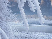 Winter in Slovenia