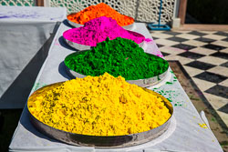 Holi Pictures